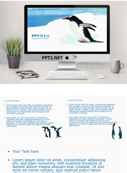 南极企鹅保护动物PPT模板.ppt[共4张]