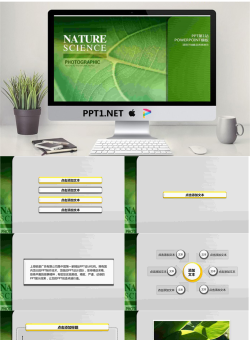 生命的绿色 绿色植物PowerPoint模板.ppt[共8张]
