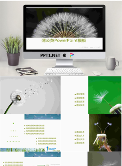 蒲公英背景幻灯片模板.ppt[共11张]