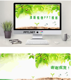 清新的树叶背景PPT模板.ppt[共3张]