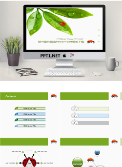 清新绿叶露珠七星瓢虫背景PPT模板.pptx[共6张]