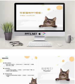 可爱猫咪幻灯片模板.ppt[共3张]