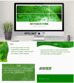 绿色清新的叶子水滴PowerPoint模板.ppt[共5张]